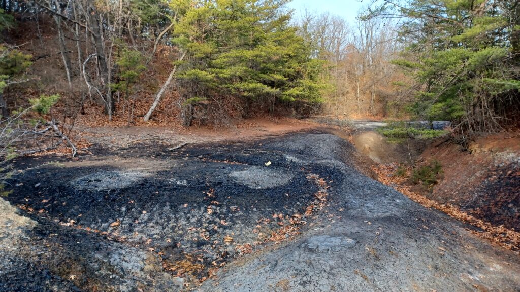Iowa reclaims abandoned coal mines that created ‘ecological disaster