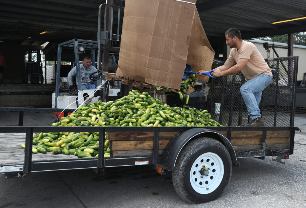 Ban going into effect next year aims to cut food waste, greenhouse gas
