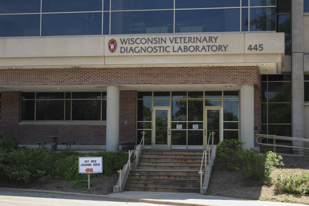 UWMadison details campus COVID19 testing plan News From The States