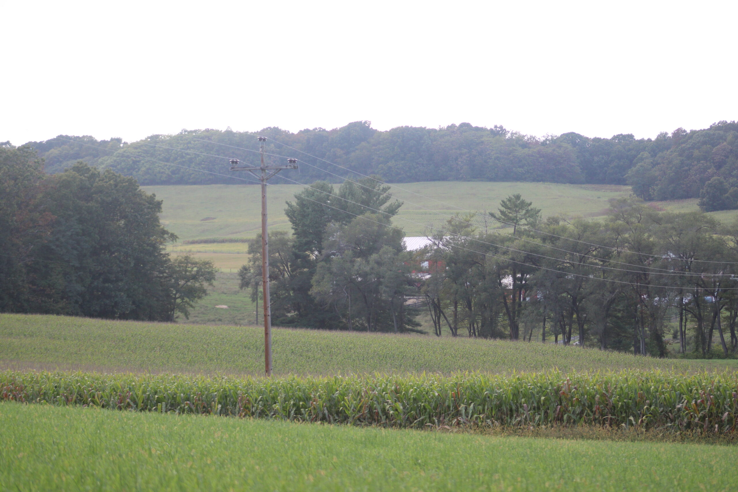 Despite recent rain, farmers in Virginia struggle with effects of