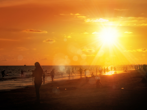 DeSantis betrays Florida, insists the solution to climate change is burning more fossil fuel DeSantis betrays Florida, insists the solution to climate change is burning more fossil fuel