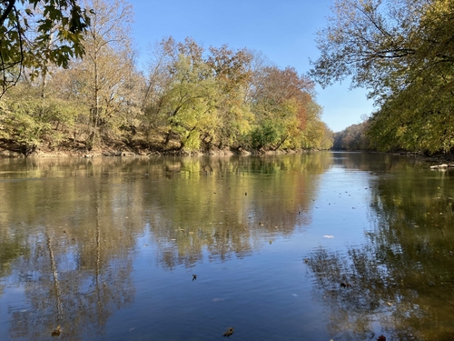 Invasive zebra mussels discovered in popular Northern Kentucky lake Licking River in Harrison County, Ky.