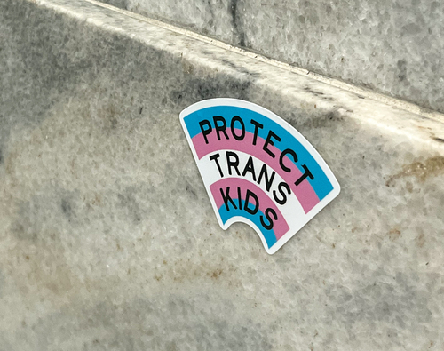Kentucky House passes controversial anti-transgender bill Kentucky House passes controversial anti-transgender bill