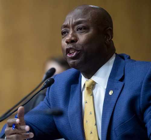 Book deals, real estate, stocks: SC’s members of Congress report their finances Book deals, real estate, stocks: SC’s members of Congress report their finances