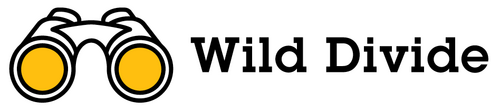 Wild divide: A debate over wildlife management in Vermont runs deep An illustration with binoculars and yellow lenses and the text "Wild Divide."