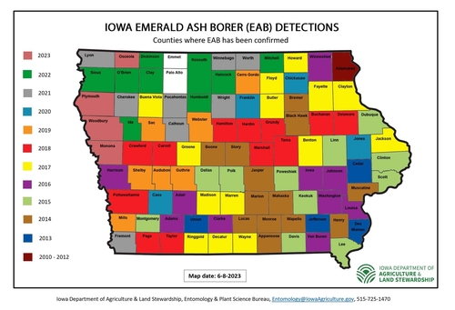 Only 2 Iowa counties remain without ash borer detections Only 2 Iowa counties remain without ash borer detections