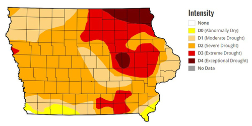 ‘Exceptional’ drought grips eastern Iowa, relief might be coming ‘Exceptional’ drought grips eastern Iowa, relief might be coming