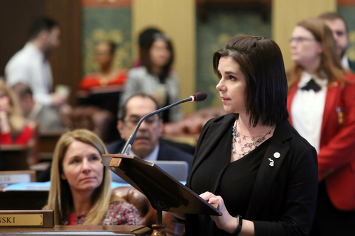Bills introduced for family leave, time off for miscarriage Legislation to end ‘gay panic’ defense in Michigan gets House hearing