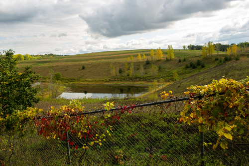 Lake Elmo family has been fighting 17 years for city water after state pushed PFAS into their well Lake Elmo family has been fighting 17 years for city water after state pushed PFAS into their well