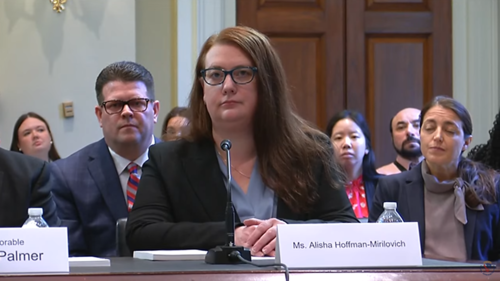 Few answers in U.S. House hearing on Pa. county’s Election Day ballot paper shortage Alisha Hoffman-Mirolovich, of the advocacy group Action Together Northeastern Pennsylvania testifies before the U.S. House Committee on House Administration on Tuesday, March 28, 2023 (Screen Capture).