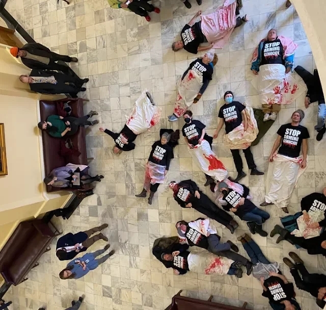 Activists hold State House die-in over Gaza, protest subsidies to General Dynamics Activists hold State House die-in over Gaza, protest subsidies to General Dynamics