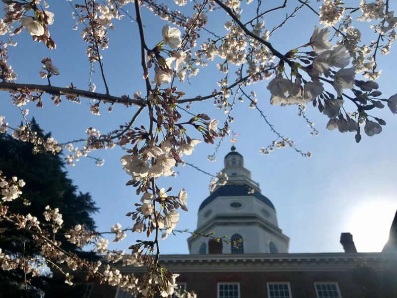 Legislative roundup: Senate passes bill lifting restrictions on child sex abuse lawsuits, health subsidy and campus gambling bills advance Legislative roundup: Senate passes bill lifting restrictions on child sex abuse lawsuits, health subsidy and campus gambling bills advance