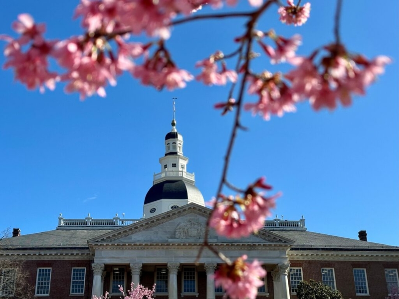 Maryland voters to see reproductive rights on 2024 ballot Maryland voters to see reproductive rights on 2024 ballot