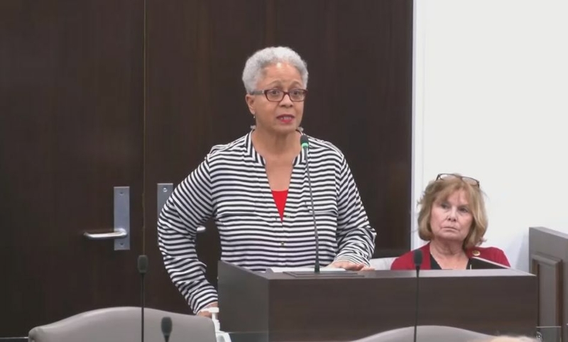 Five standout speeches from North Carolina’s final public hearing on redistricting Five standout speeches from North Carolina’s final public hearing on redistricting