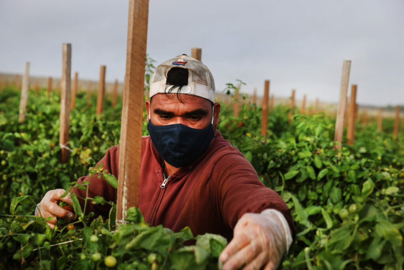 Feds slap $139K fine on NC employers for exploiting farmworkers Feds slap $139K fine on NC employers for exploiting farmworkers