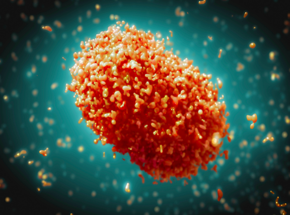 Monkeypox outbreak reaches nearly 11,000 cases in the U.S.; FL ranks 3rd in caseloads Monkeypox outbreak reaches nearly 11,000 cases in the U.S.; FL ranks 3rd in caseloads
