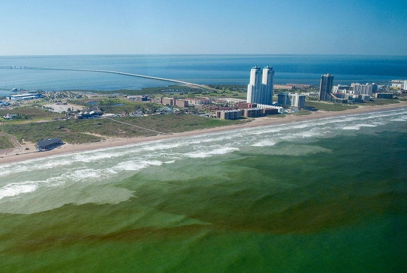 Toxic red tide algae, last seen in 2018, returns to Texas coast Toxic red tide algae, last seen in 2018, returns to Texas coast