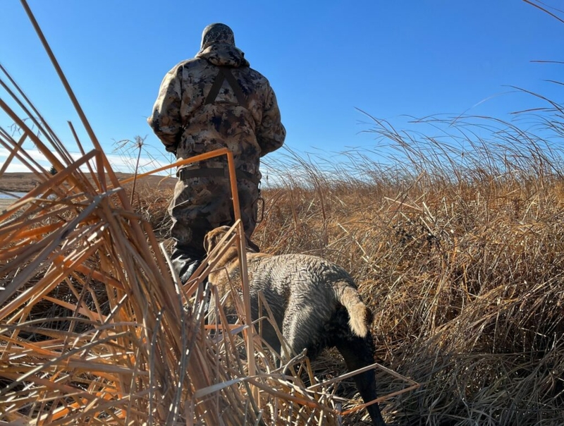 GF&P: Medical marijuana patients won’t lose hunting rights GF&P: Medical marijuana patients won’t lose hunting rights