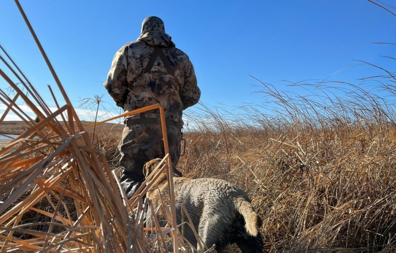 Commission approves more outofstate duck hunting licenses, despite