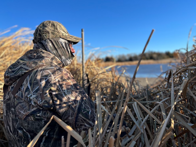 State launches efforts to fight duck-hunting decline and protect habitat State launches efforts to fight duck-hunting decline and protect habitat
