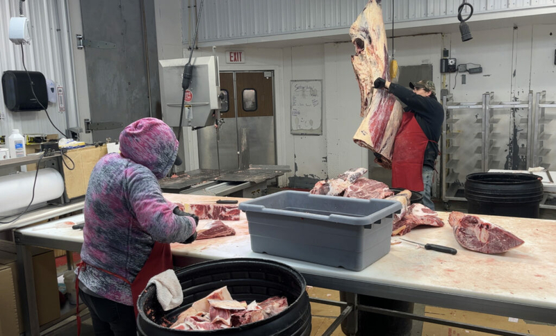 Making meat local: $32 million flows to South Dakota processors since ’21 Making meat local: $32 million flows to South Dakota processors since ’21