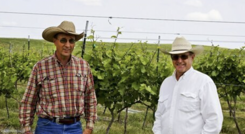 Unique Sandhills winery amid âocean of grassâ plans expansion Unique Sandhills winery amid âocean of grassâ plans expansion