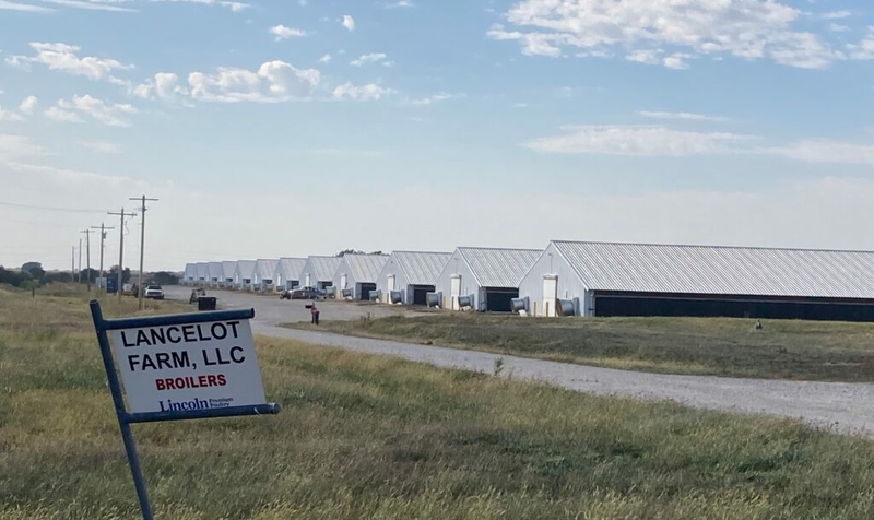 Bill aims to protect farmers from nuisance lawsuits, restricting who can file and when Bill aims to protect farmers from nuisance lawsuits, restricting who can file and when