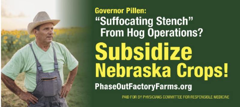 New governor fires back at ‘cheap stunts’ attacking his hog farms New governor fires back at ‘cheap stunts’ attacking his hog farms
