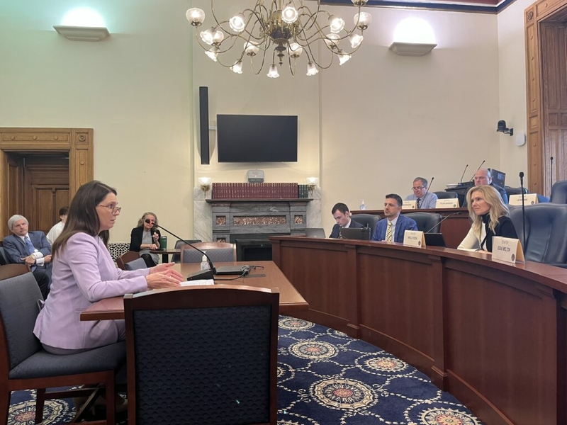 Senators question bill to allow pharmacists to prescribe birth control Senators question bill to allow pharmacists to prescribe birth control