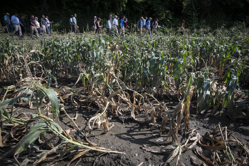 Vermont farmers have struggled with a federal conservation program. A new bill in Congress could help. Vermont farmers have struggled with a federal conservation program. A new bill in Congress could help.