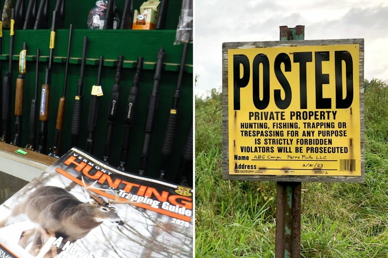 Wild divide: A debate over wildlife management in Vermont runs deep Wild divide: A debate over wildlife management in Vermont runs deep