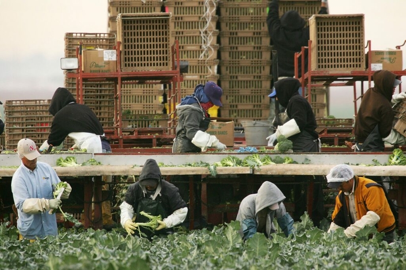 Who really gets the job done? America’s immigrants Who really gets the job done? America’s immigrants