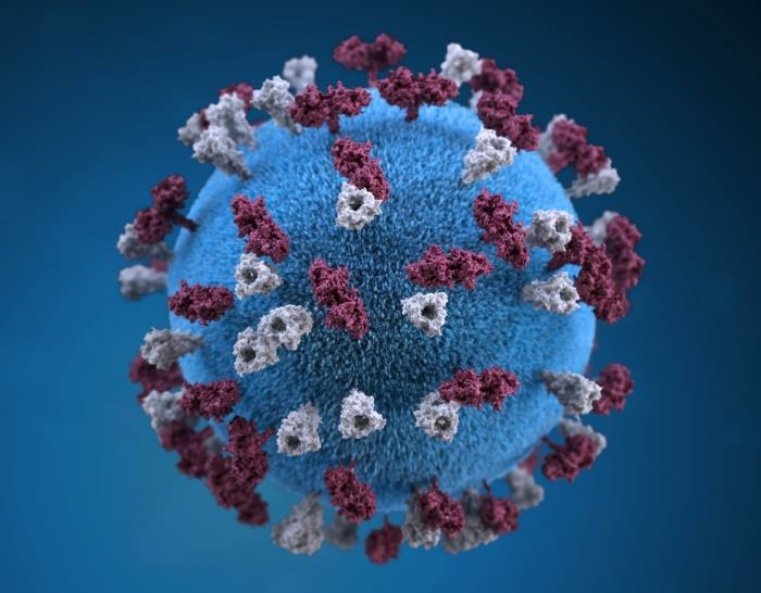 Measles case reported in Idaho resident who was exposed during international travel Measles case reported in Idaho resident who was exposed during international travel