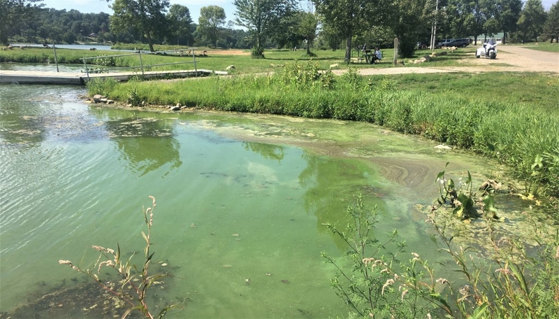 Swimming not recommended at three state beaches Swimming not recommended at three state beaches