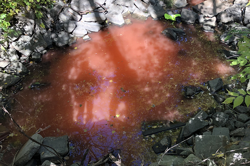 DNR: Paint dye poured into storm drain turned ditch water red DNR: Paint dye poured into storm drain turned ditch water red