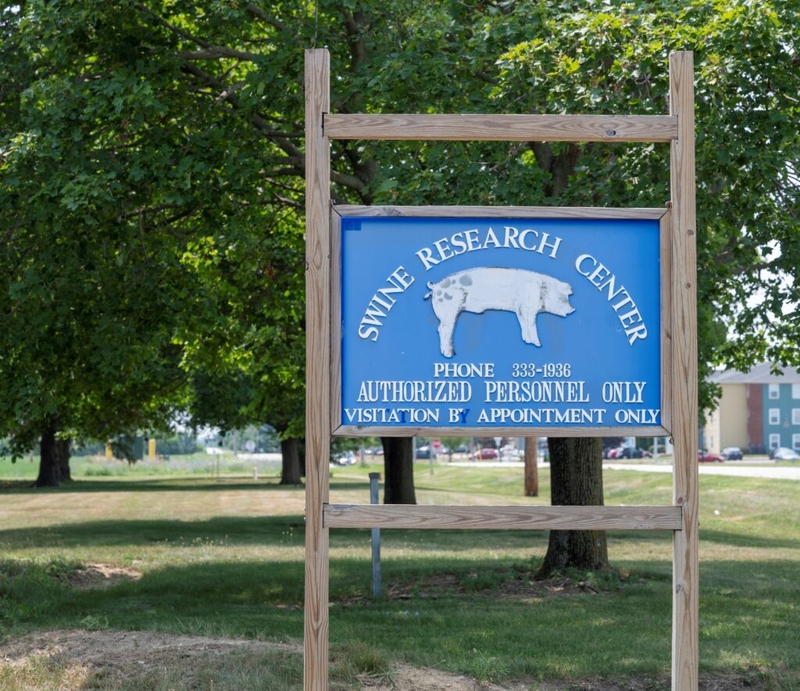 The National Pork Board gives more grant money than any other checkoff. Critics say it favors Big Pork. The National Pork Board gives more grant money than any other checkoff. Critics say it favors Big Pork.