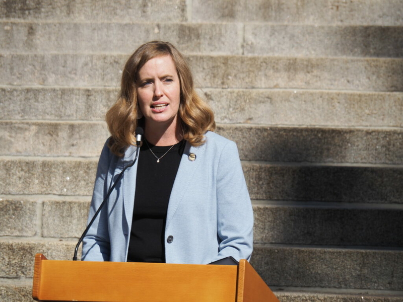 Senate Democrat rebuffed for trying to blend NRA, Everytown visions of firearm safety Senate Democrat rebuffed for trying to blend NRA, Everytown visions of firearm safety