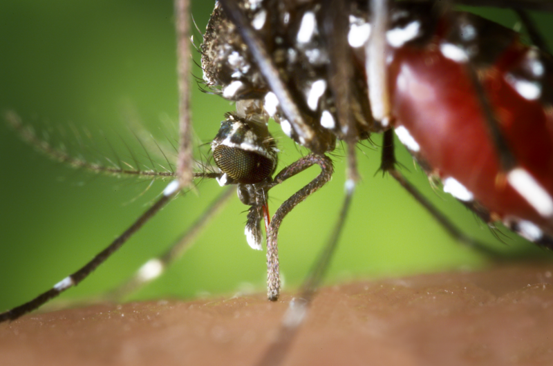 Kansas reports three deaths from West Nile virus as cases reach five-year high Kansas reports three deaths from West Nile virus as cases reach five-year high