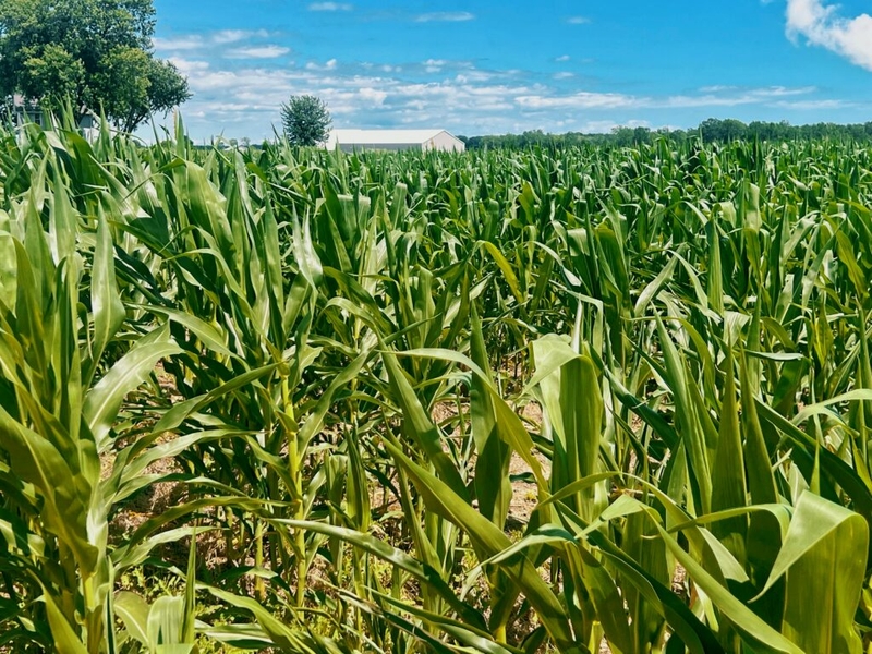 Rep. Kildee introduces bill to update financing tool for small manufacturers and farmers Rep. Kildee introduces bill to update financing tool for small manufacturers and farmers