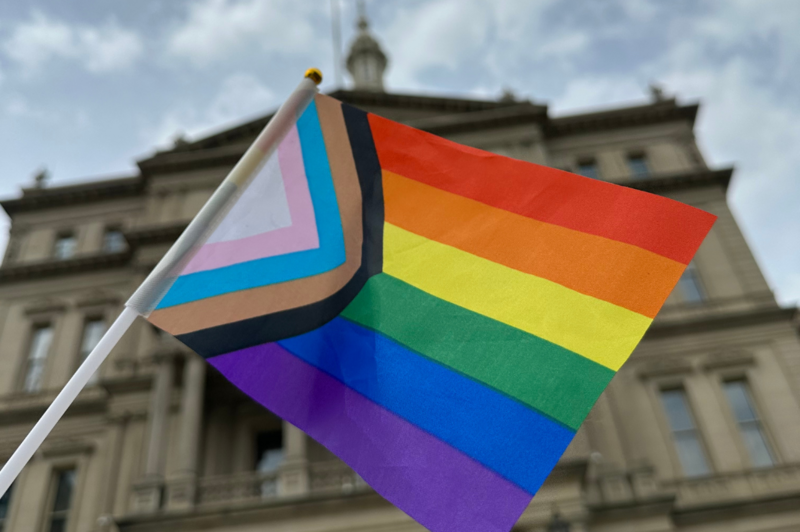 Legislation to end ‘gay panic’ defense in Michigan gets House hearing Legislation to end ‘gay panic’ defense in Michigan gets House hearing