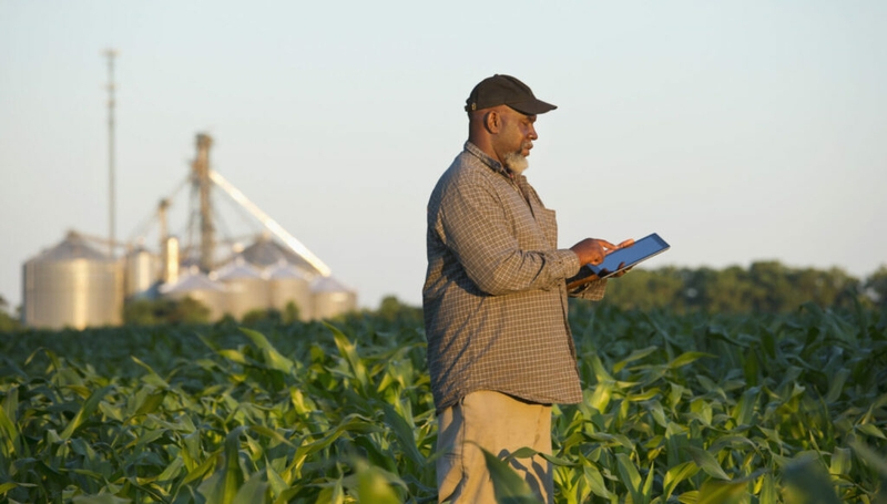 Farm Bill needs to make land accessible for young, less affluent and BIPOC farmers Farm Bill needs to make land accessible for young, less affluent and BIPOC farmers