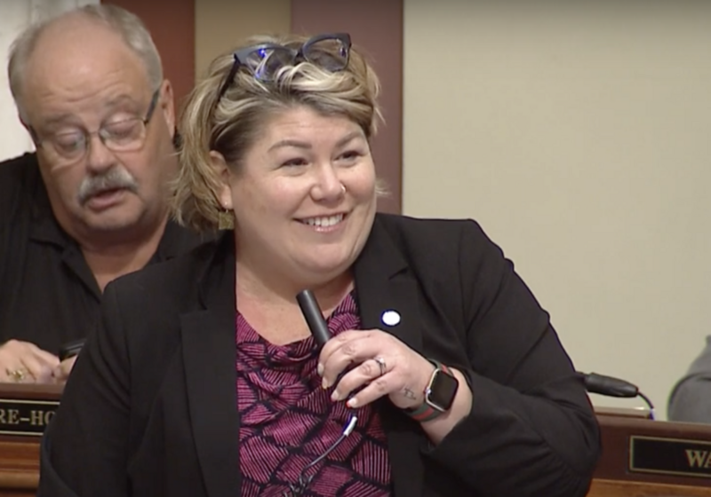 Minnesota lawmaker who rode nonprofit fame to House seat gets tax exempt status revoked Minnesota lawmaker who rode nonprofit fame to House seat gets tax exempt status revoked