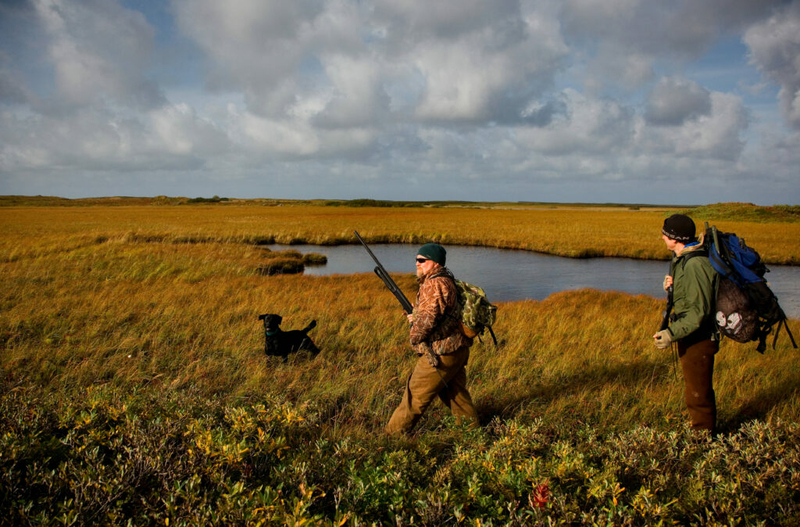 Wildlife advocates concerned about public relations tactics related to hunting, trapping amendment Wildlife advocates concerned about public relations tactics related to hunting, trapping amendment