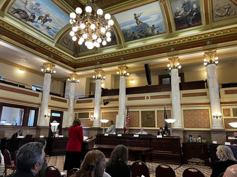 Bills on parental rights, abortion and pronouns heard in Senate committees Monday Bills on parental rights, abortion and pronouns heard in Senate committees Monday