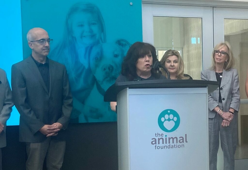 Animal Foundation CEO pleads for communityâs help to ease overcrowding Animal Foundation CEO pleads for communityâs help to ease overcrowding