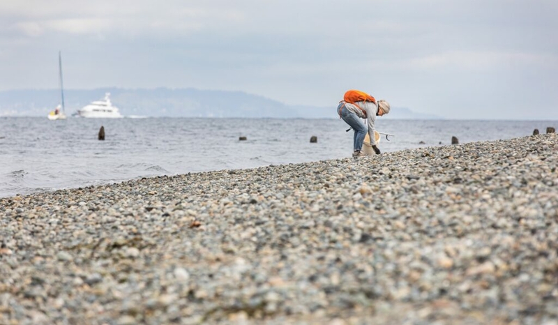Northwest scientists study source of pervasive plastic pollution Northwest scientists study source of pervasive plastic pollution