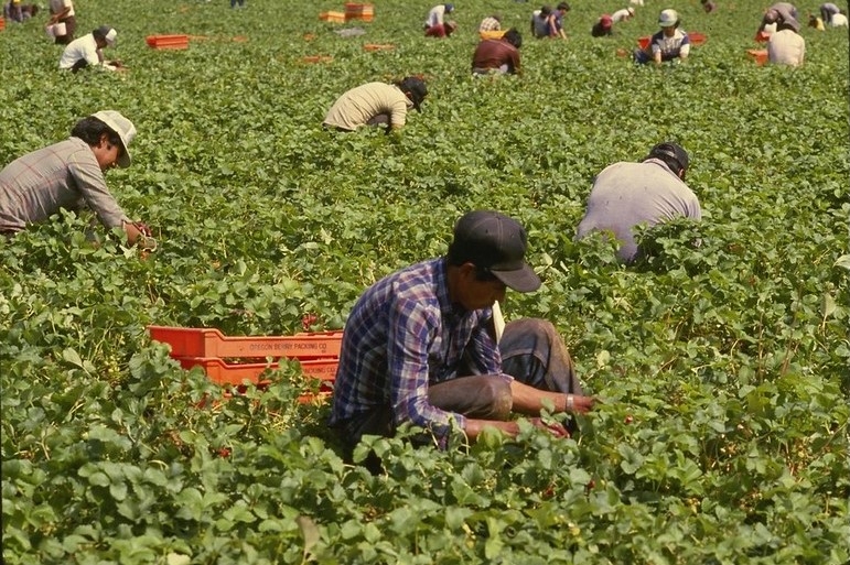 All workers – including farmworkers – deserve the right to organize All workers – including farmworkers – deserve the right to organize