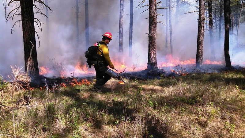 Living with wildfire: How to protect more homes as fire risk rises in a warming climate Living with wildfire: How to protect more homes as fire risk rises in a warming climate