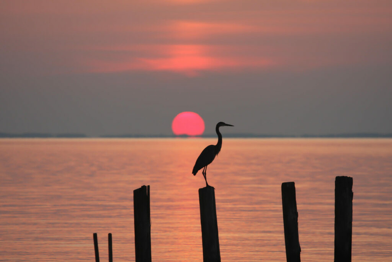 EPA: Pa. plan to reduce Chesapeake Bay pollution ‘doesn’t meet the partnership targets’ EPA: Pa. plan to reduce Chesapeake Bay pollution ‘doesn’t meet the partnership targets’