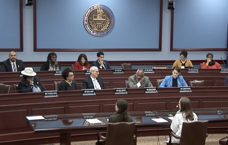 House Dems hold hearing on expanding access to reproductive health care House Dems hold hearing on expanding access to reproductive health care